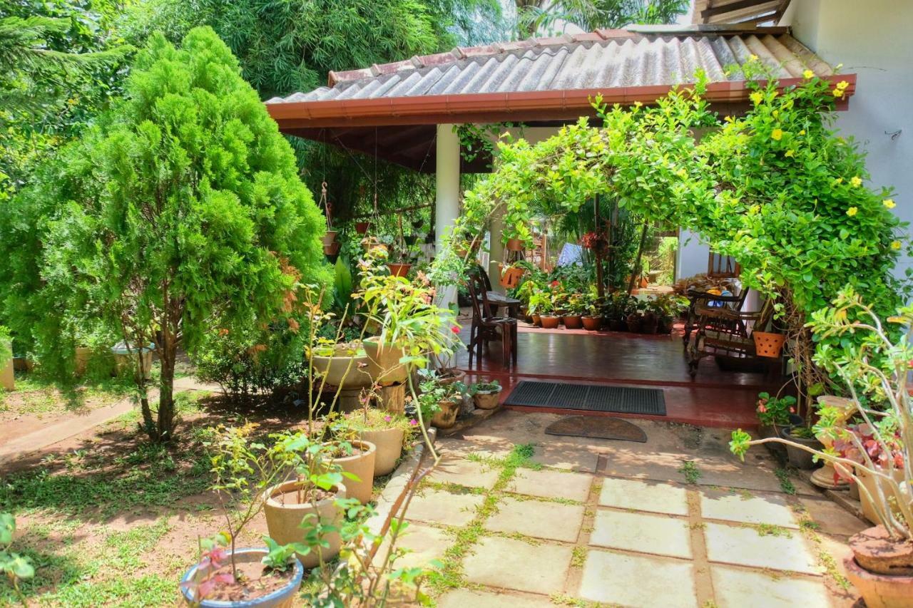 Golden Rainbow Guest House Dambulla Exterior photo